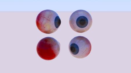 Eyes 3ds max vray model 0008