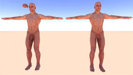 Human body 3ds max vray model 0002