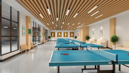 Table tennis room 3ds max vray interior scene mode